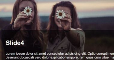 Background Image Slider With Caption Bar Using Pure CSS