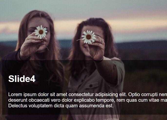 Background Image Slider With Caption Bar Using Pure CSS