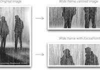 Responsive & Smart Image Cropping In JavaScript - vanillafocus