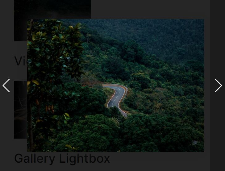 Tiny Gallery Lightbox For Images & Videos – MK Lightbox
