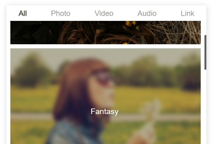 Multimedia Gallery Lightbox JavaScript Library – MixGallery.js