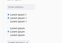 Peacock CSS Form