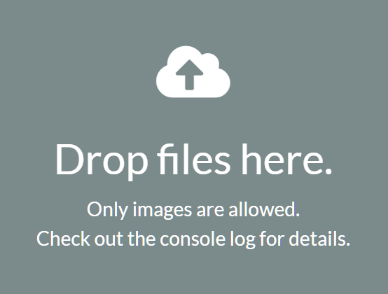 File Drop Zone For Uploader – DnD Zone