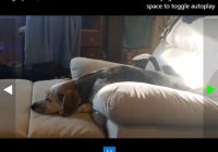 Fullpage Image & Video Slideshow In JavaScript
