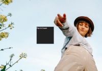 JavaScript Library For Panning & Zooming Elements - Panzoom