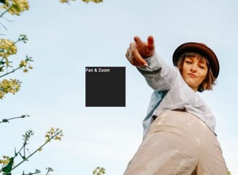 JavaScript Library For Panning & Zooming Elements – Panzoom