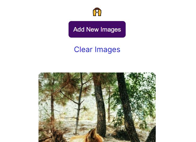 Dynamic Image Lazy Loading In Vanilla JavaScript – lazy.js
