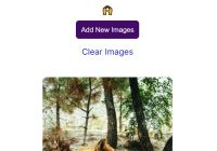 Dynamic Image Lazy Loading In Vanilla JavaScript - lazy.js