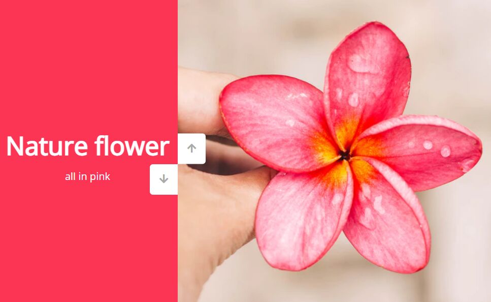 Vertical Split Slider Carousel With Vanilla JavaScript