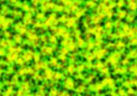 simplex-noise-generator