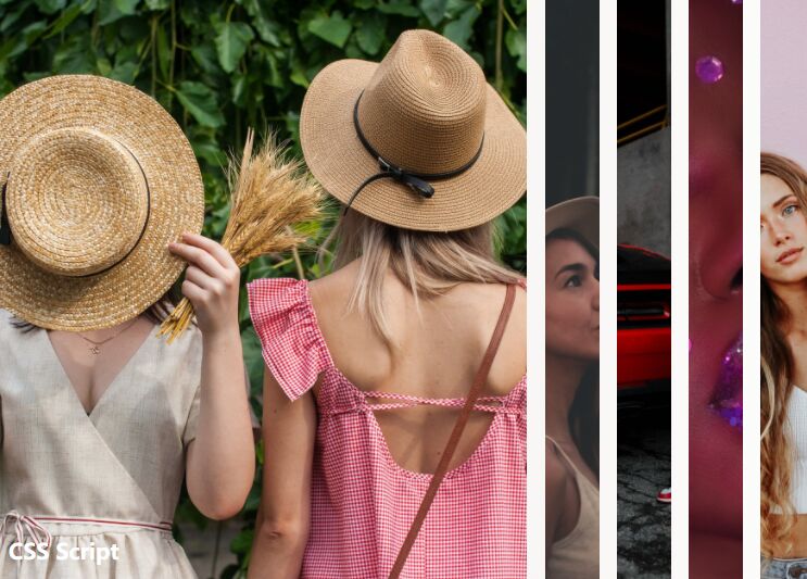 Accordion Style Responsive Photo Gallery In JavaScript