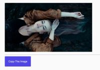 Copy Images To Clipboard Using JavaScript
