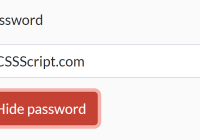 Show & Hide Password Button In JavaScript