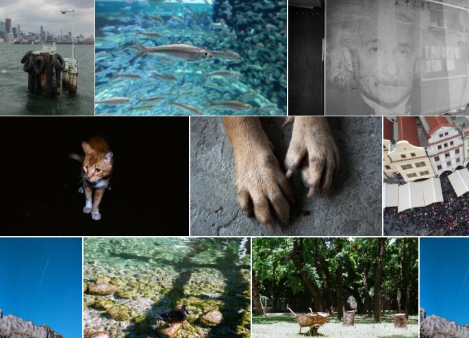 Flickr-like Photo Grid In Vanilla JavaScript