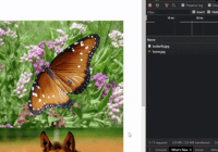 Lightweight Performant Image Lazy Loading Script