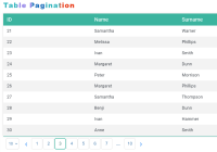 Universal Data Pagination Component Pagination System