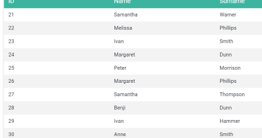 Universal Data Pagination Component Pagination System