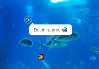 custom-tooltips