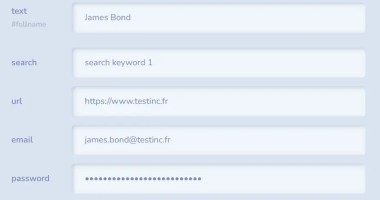 Auto Fill Form Fields With Random Or Specific Values