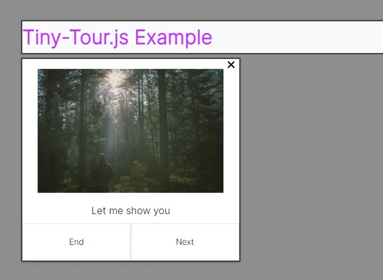 Create Step-by-Step Tours with Tiny-Tour.js