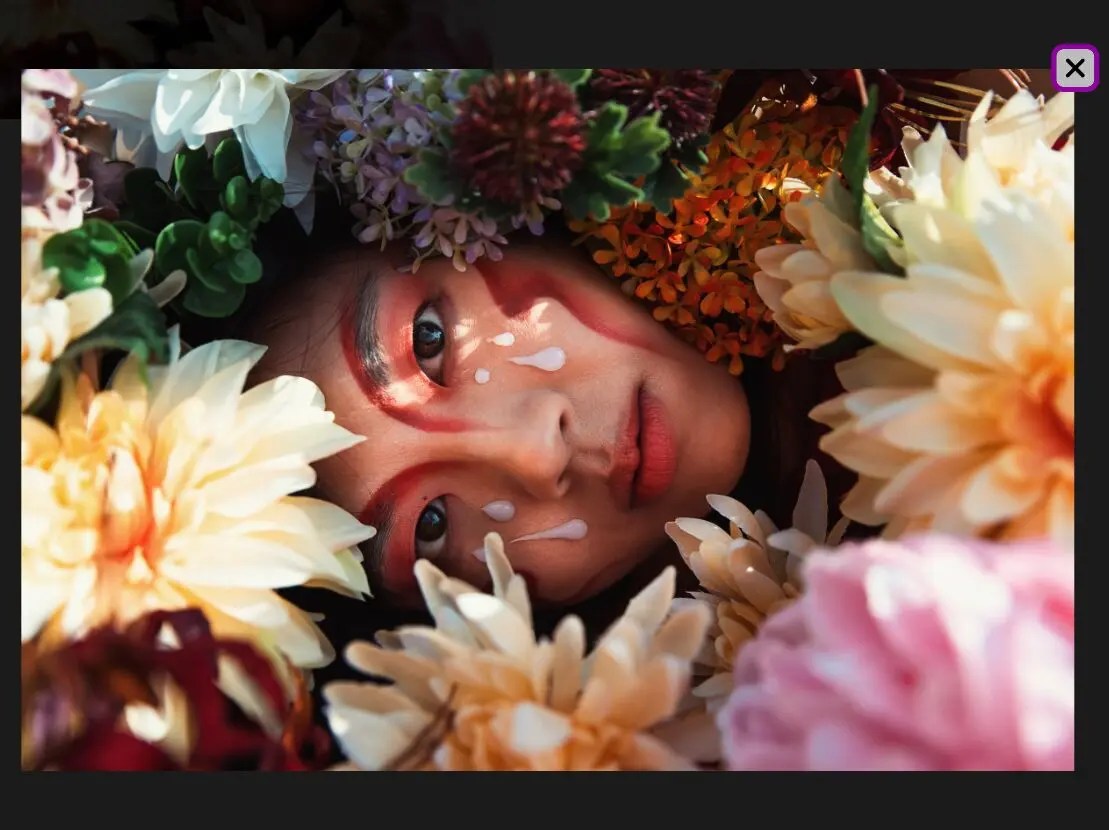 Performant Accessible Image Lightbox JavaScript Library – Zoomable Image