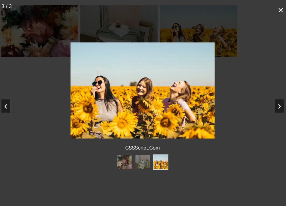 Lightweight Image Gallery With Lightbox Popup – havLightbox