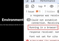 check-javascript-runtime-environment