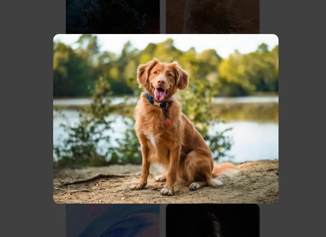 Modern Image Lightbox Transitions with View Transitions API