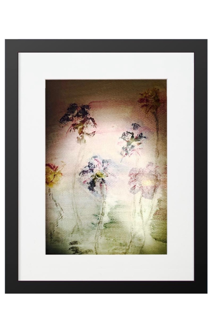 Where Have All The Flowers Gone