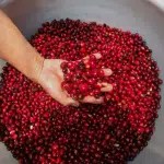 red-bourbon