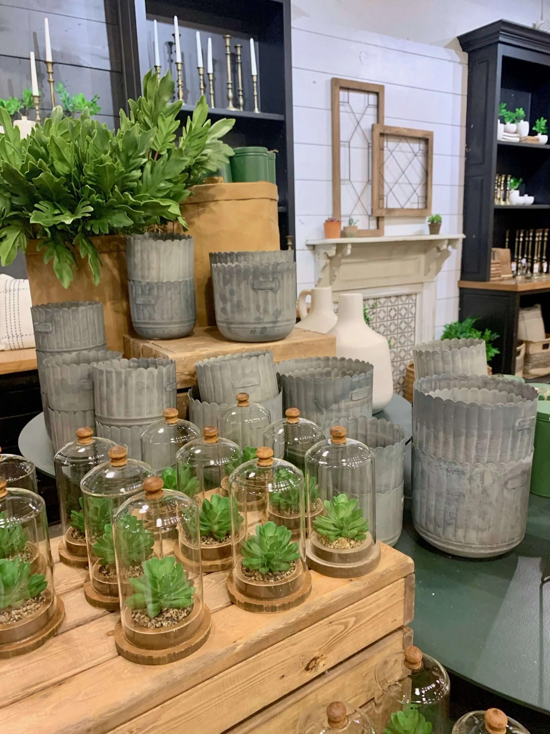 magnoliamarket2