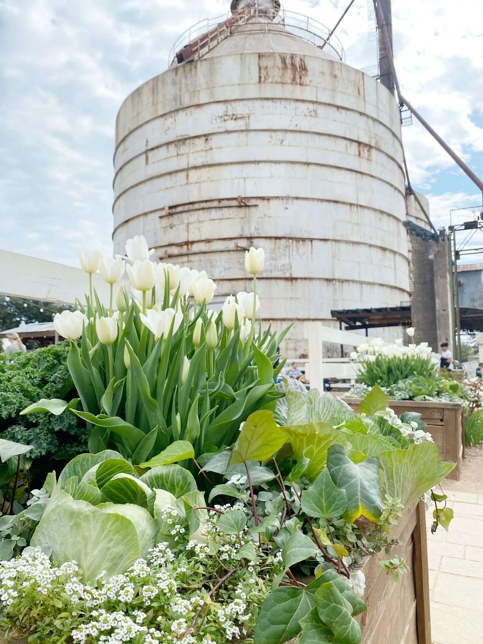 springatthesilos2