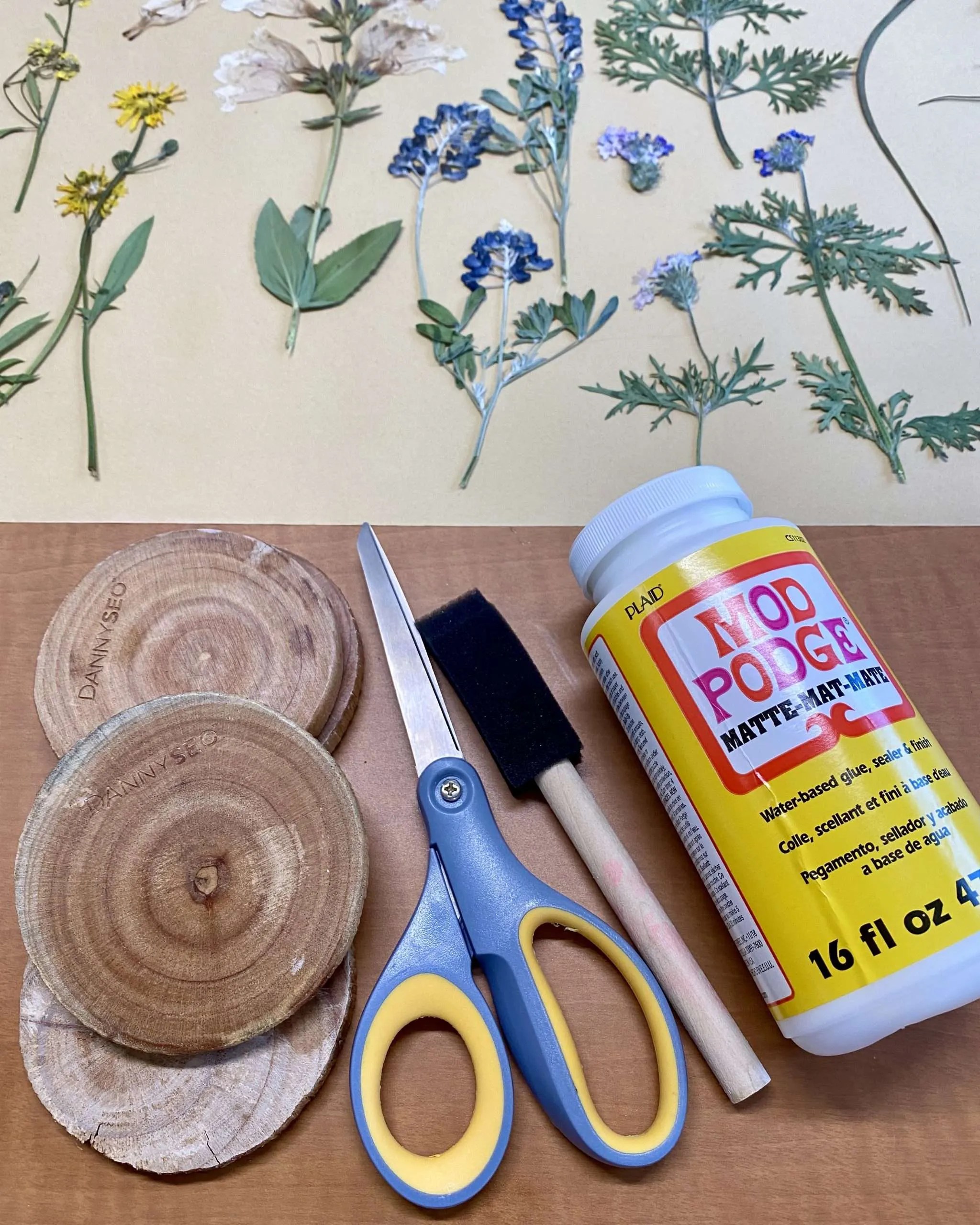 pressedflowerartproject