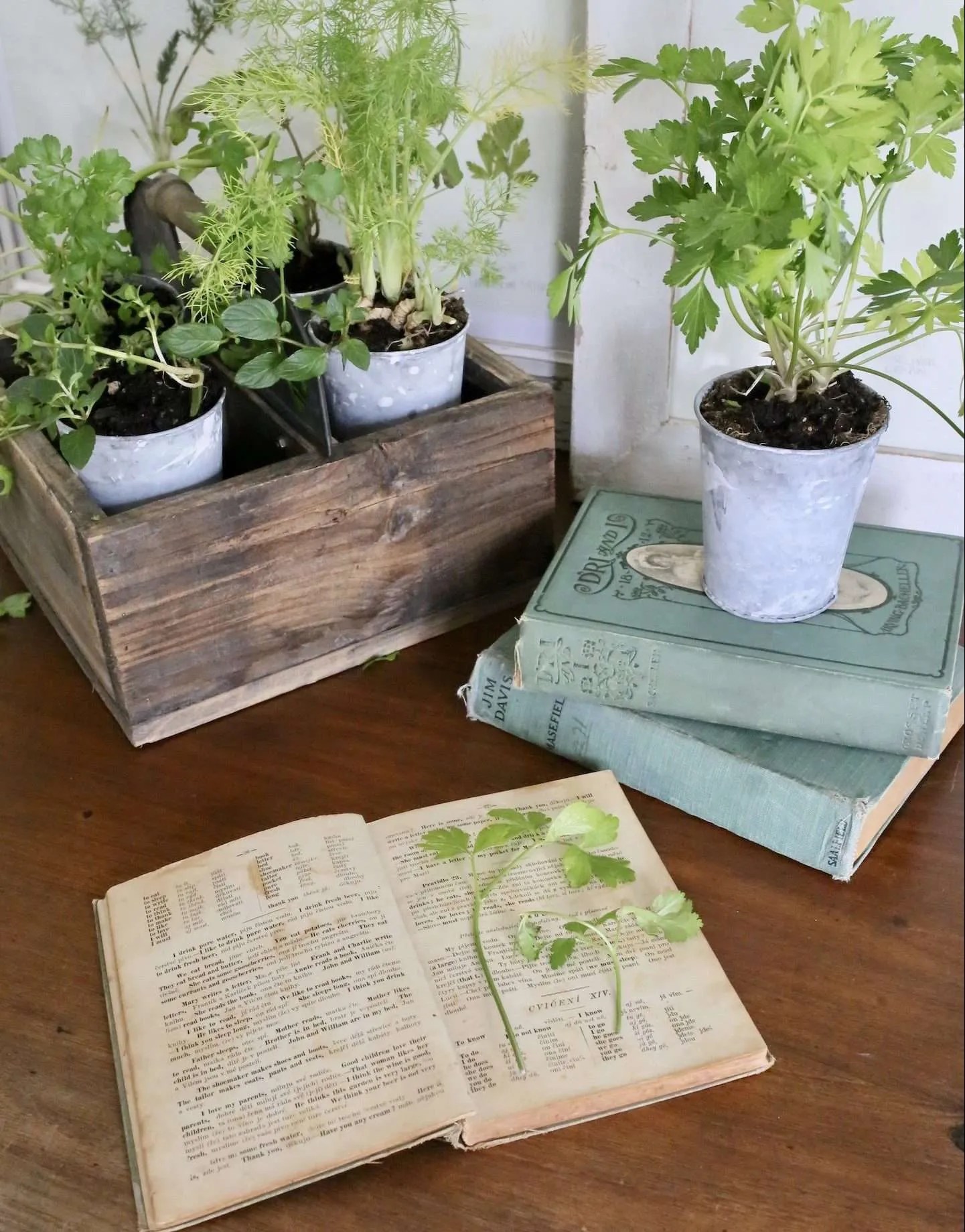 pressedflowerdiy
