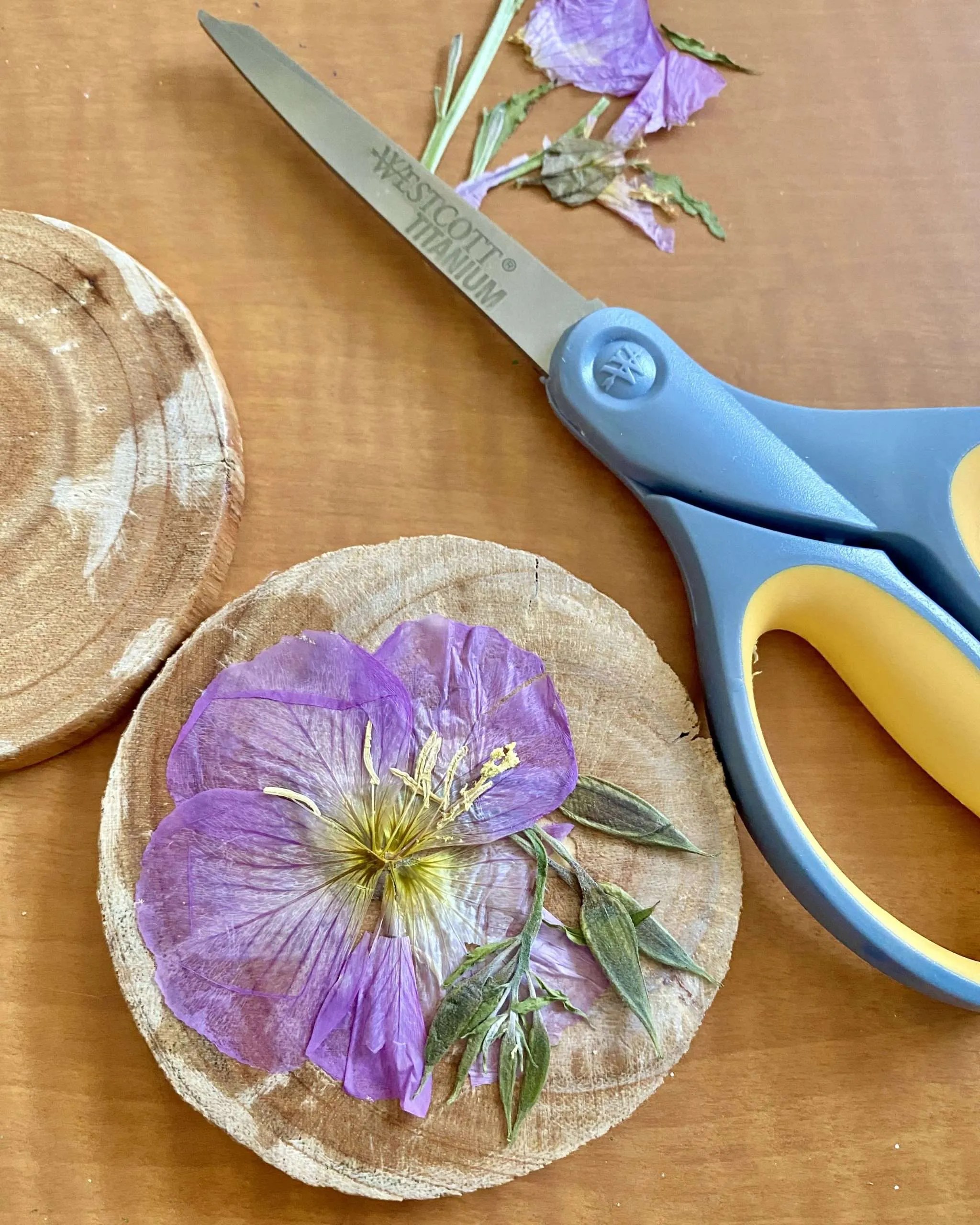 whattodowithpressedflowers
