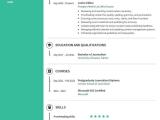 Editor Resume Sample Job Description Writing Guide For 2026