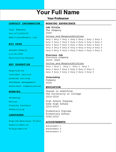 Best Cv Samples In Kenya Pdf Best Resume Examples