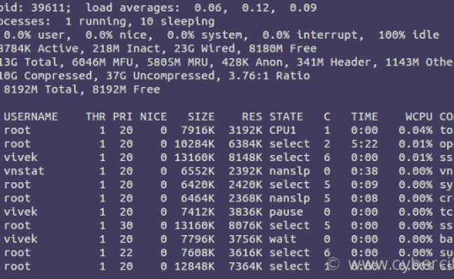 System check running. Командная строка unix. top (unix). running list.