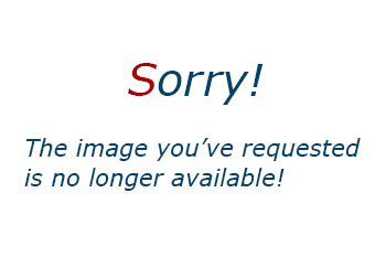 Carnival Cruise Line Page 33 Late Cruise News