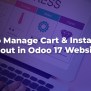 How To Manage Cart & Instant Check-out In Odoo 17 Website