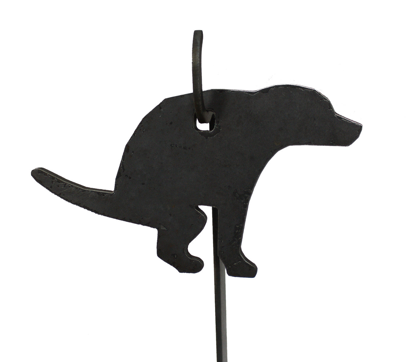 novelty rimfire targets