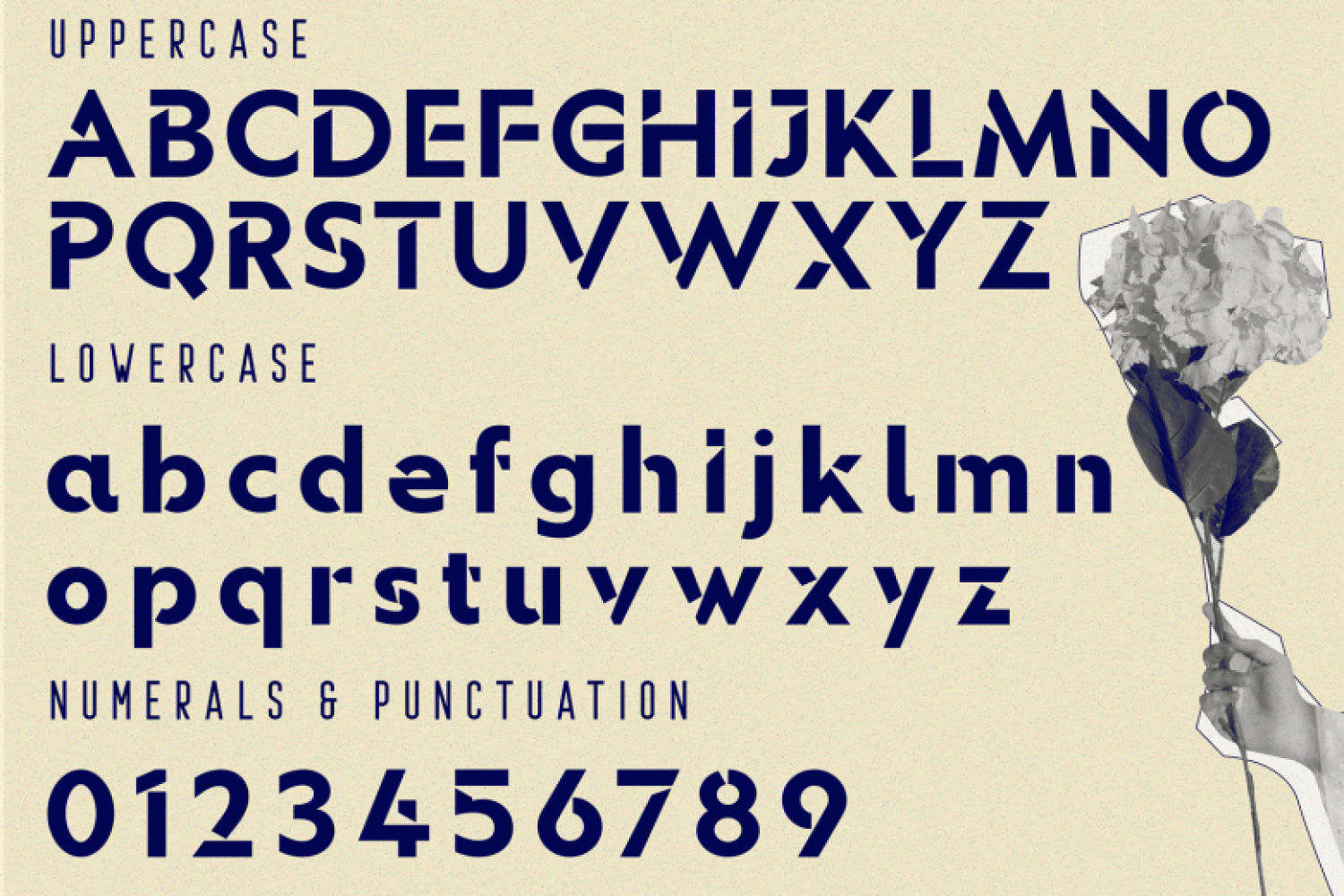 Multiple Ranges Display Font -3