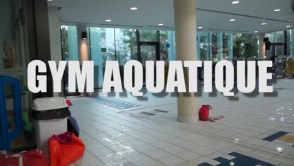 Maison De Luxe Avec Piscine Colombes A Vendre