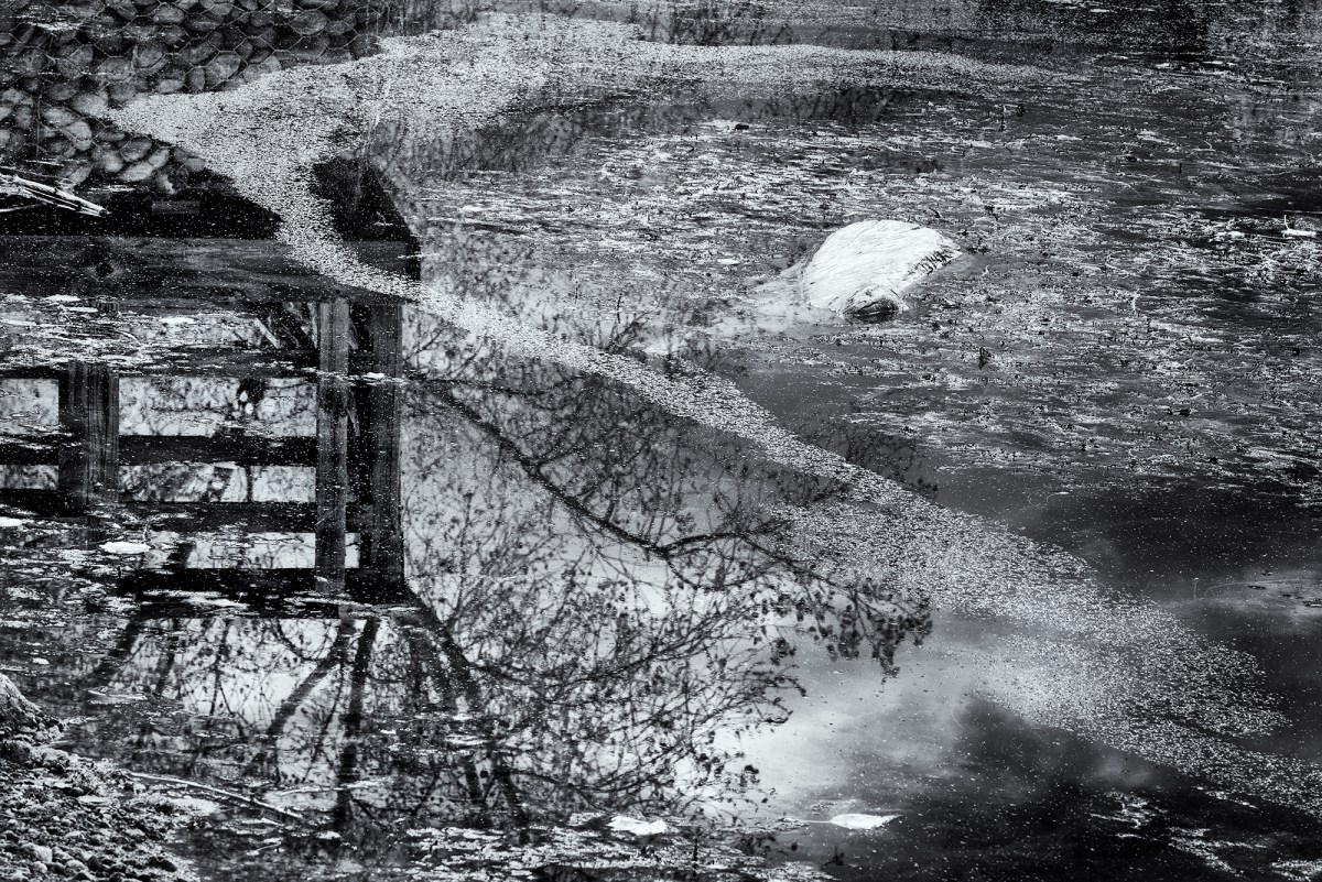 Sludge Abstract, Sawhill Ponds. Near Boulder, Colorado, 2016