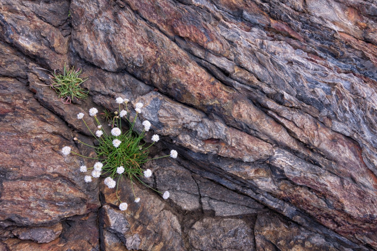 Rocks, #17. Cadaqués-Cap de Creus, Catalunya, 2018