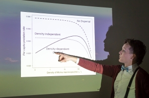 Dr Juniper L Simonis Dapper Stats - City Patterns - Elegant HD Collection