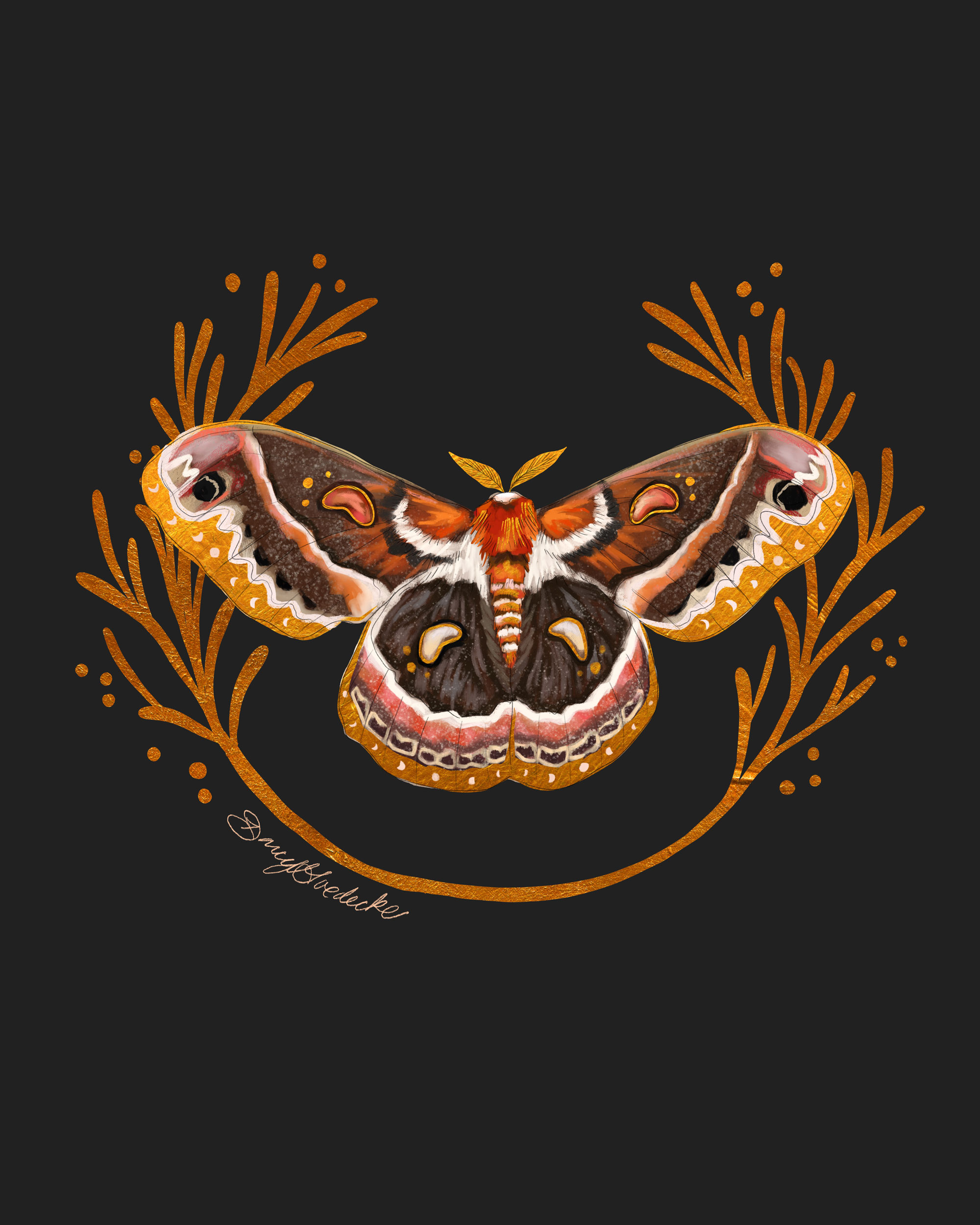 MothGreyWeb.jpg?fit=2000,2500&