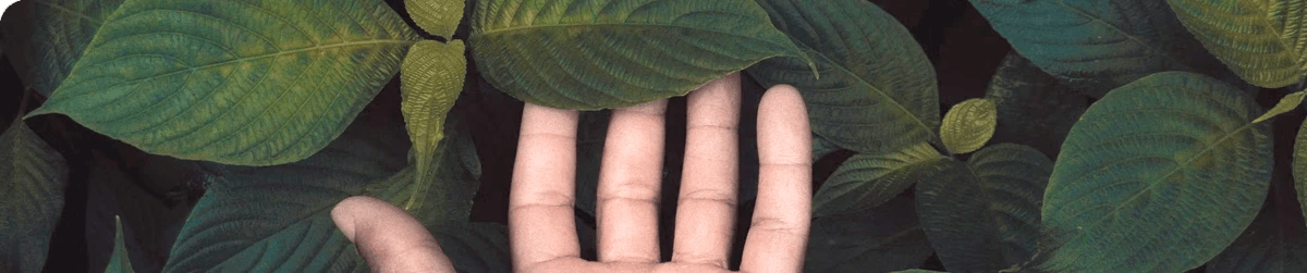 eco 1
