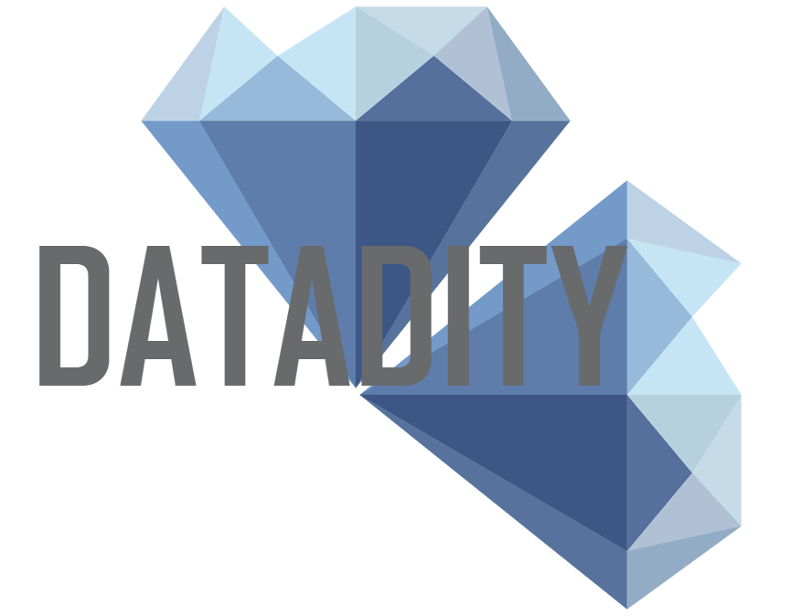 Datadity Technologies Logo