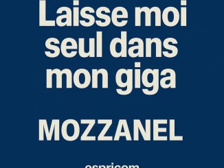 Mozzanel - Laisse moi seul dans mon giga